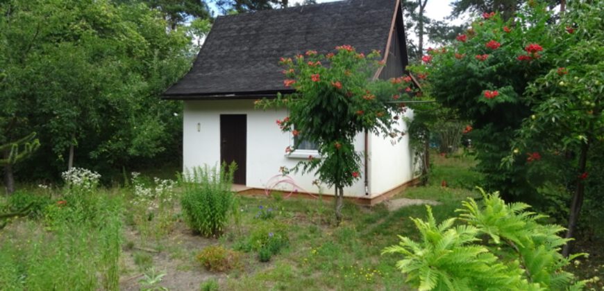Oranienburg: Ausbaufähiges Wochenendhaus auf Baugrundstück mit ca. 759m² in Waldlage