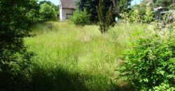 Wandlitz-Nahe Naturpark Barnim: Sanierungsbedürftiges Einfamilienhaus mit massivem Nebengebäude.