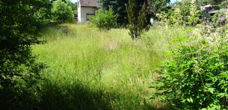 Wandlitz-Nahe Naturpark Barnim: Sanierungsbedürftiges Einfamilienhaus mit massivem Nebengebäude.