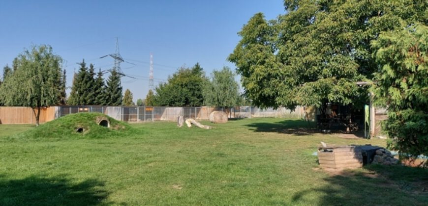 Wustermark, Speckgürtel Berlin Einfamilienhaus mit sehr gepflegt angelegter Hundepension.