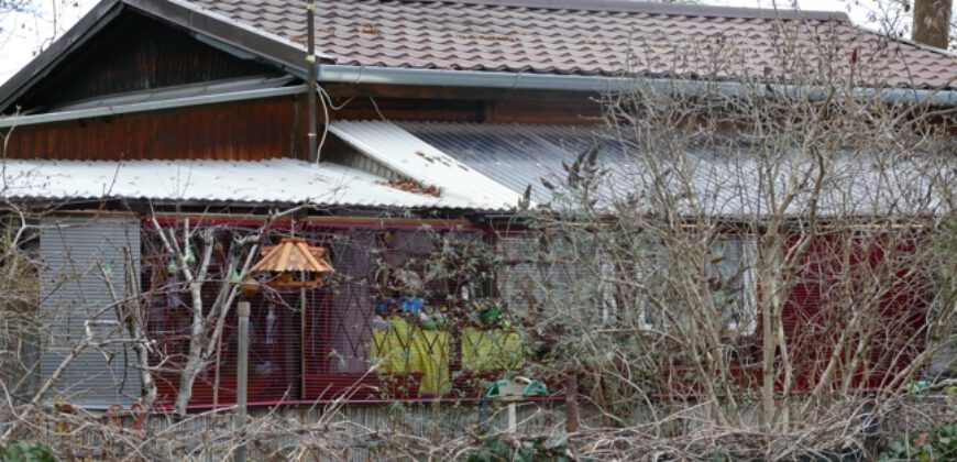 Oranienburg -Top Lage, Grundstück mit gepfl. Altimmobilie (Bungalow) schöner Garten, Carport.